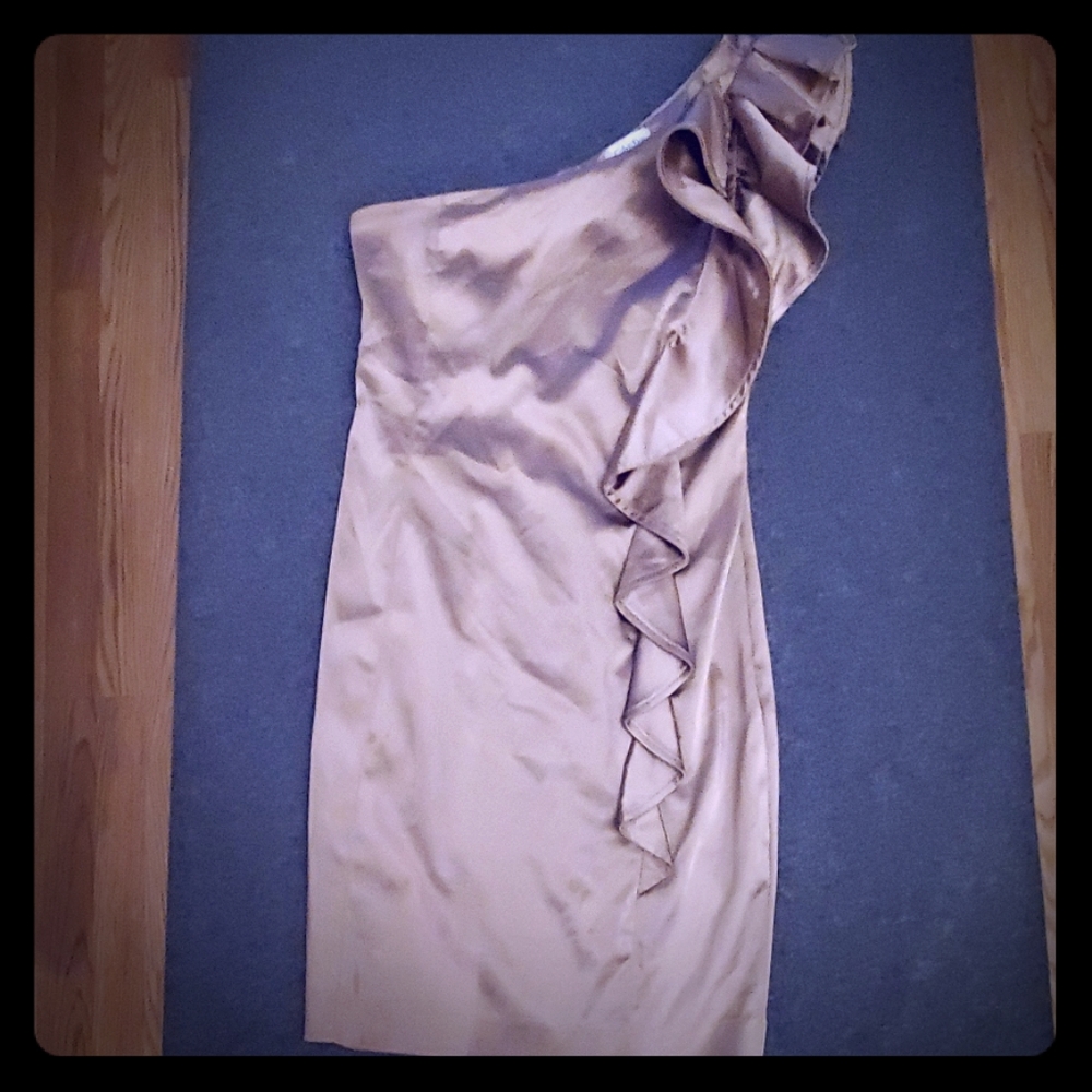 Calvin Klein Metallic Dress